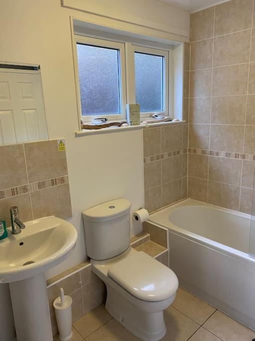 3 Bedroom Lodge With Hot Tub On Lovely Quiet Holiday Park In Cornwall Gunnislake Exteriér fotografie